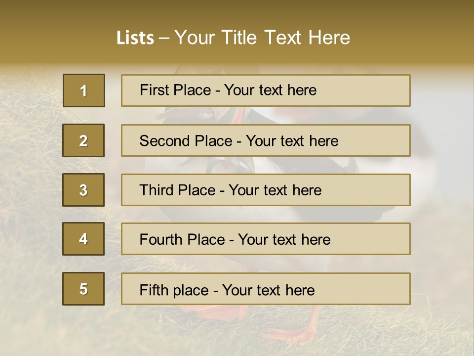 Faroe Islands Bird Common Puffin PowerPoint Template