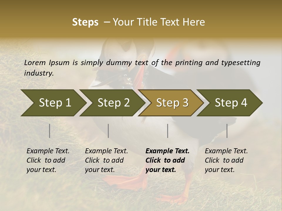 Faroe Islands Bird Common Puffin PowerPoint Template