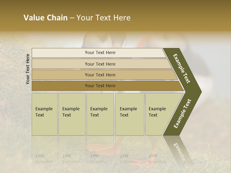 Faroe Islands Bird Common Puffin PowerPoint Template