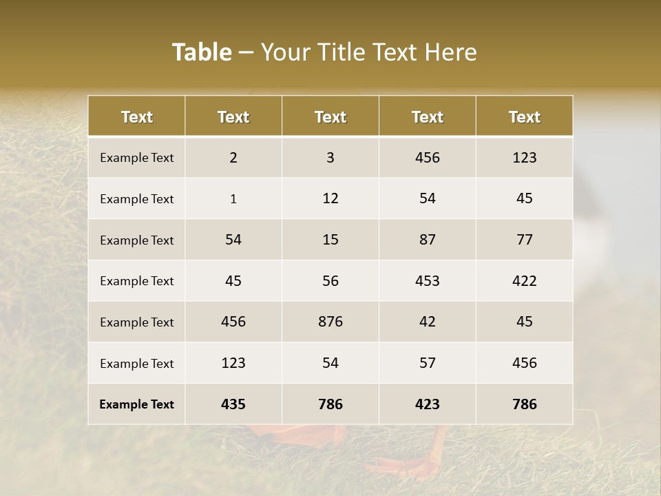 Faroe Islands Bird Common Puffin PowerPoint Template