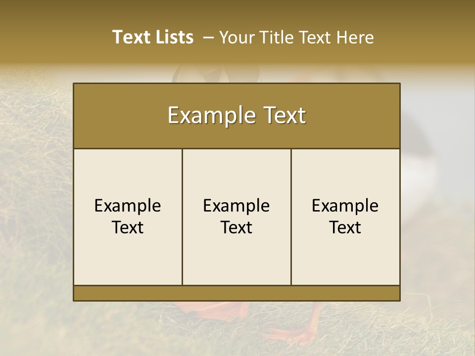 Faroe Islands Bird Common Puffin PowerPoint Template