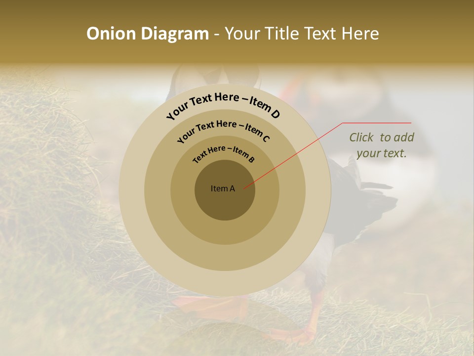 Faroe Islands Bird Common Puffin PowerPoint Template