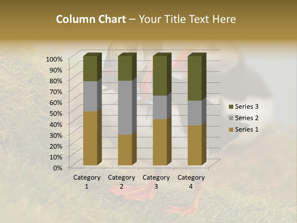 Faroe Islands Bird Common Puffin PowerPoint Template