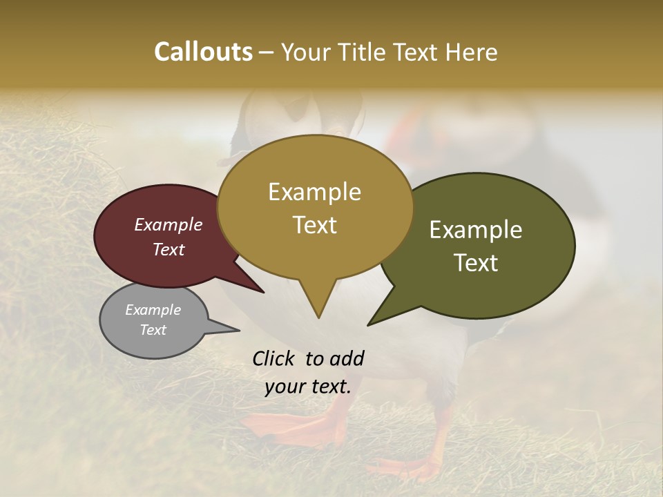 Faroe Islands Bird Common Puffin PowerPoint Template