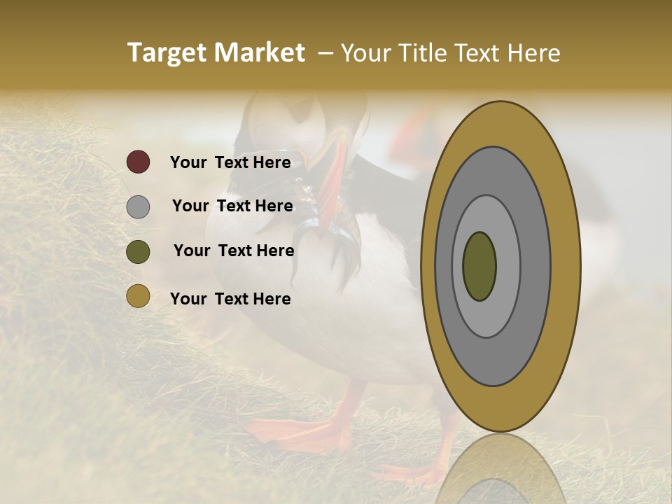 Faroe Islands Bird Common Puffin PowerPoint Template