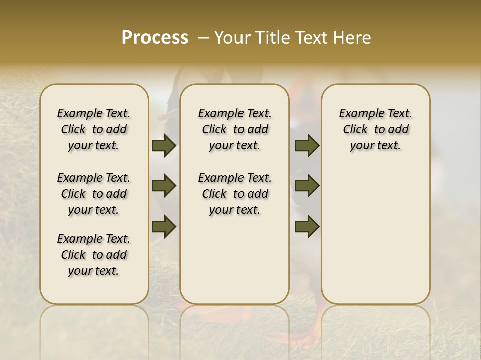 Faroe Islands Bird Common Puffin PowerPoint Template
