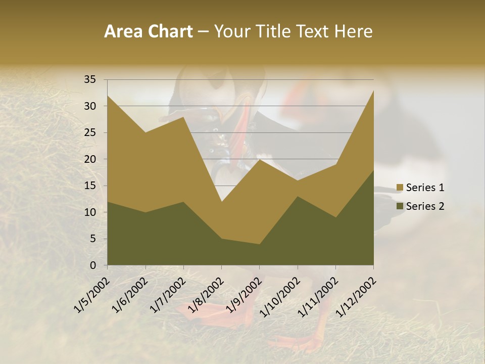 Faroe Islands Bird Common Puffin PowerPoint Template