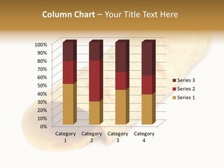 Traditional Butter White PowerPoint Template