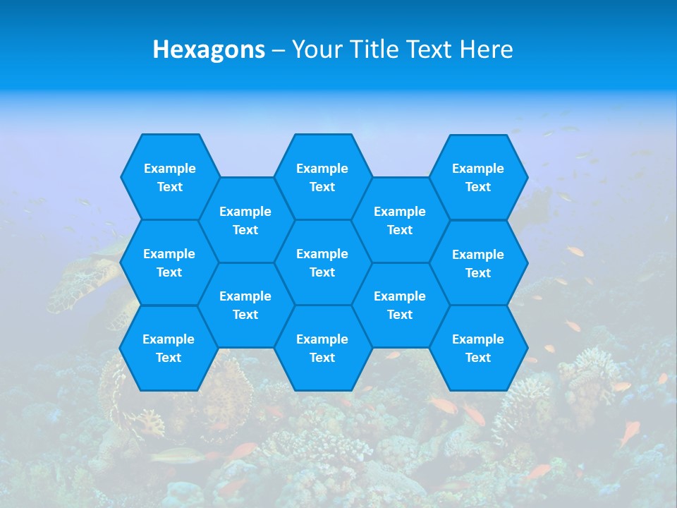 Tropical Fish Reptile Scuba PowerPoint Template