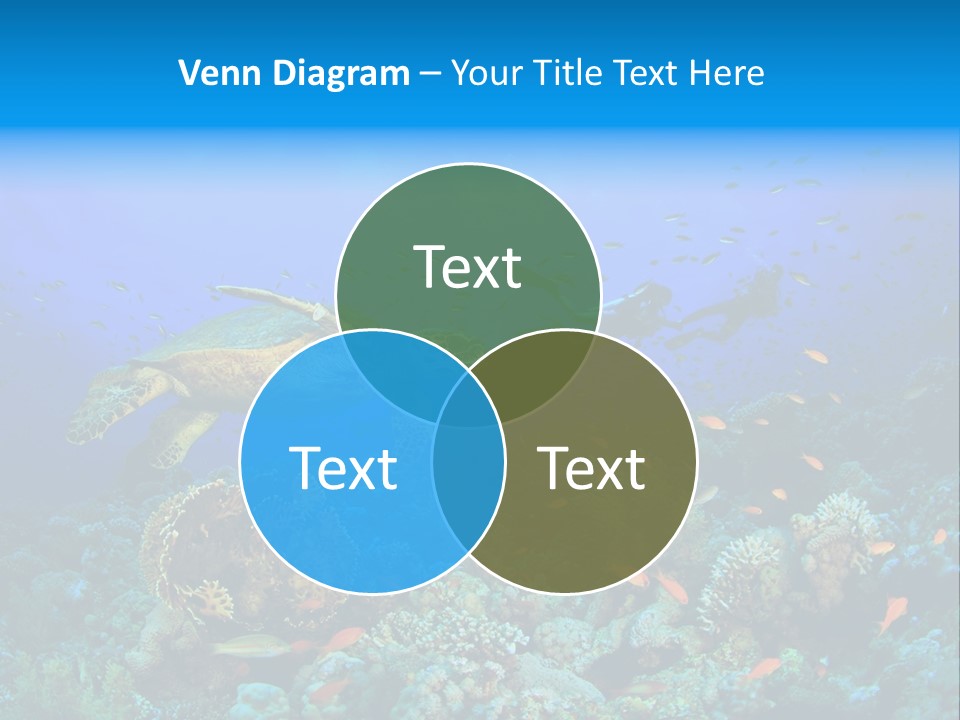 Tropical Fish Reptile Scuba PowerPoint Template