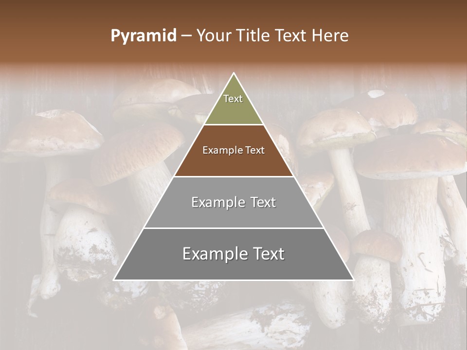Edible Background Diet PowerPoint Template