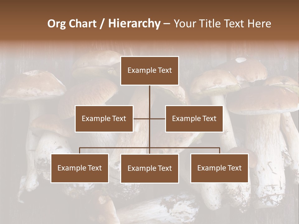 Edible Background Diet PowerPoint Template