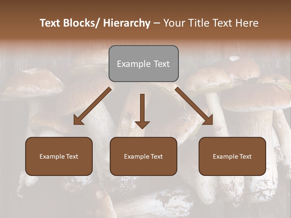 Edible Background Diet PowerPoint Template