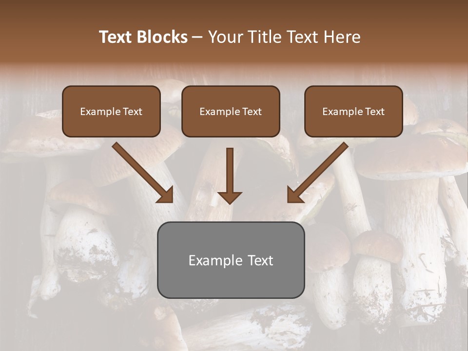 Edible Background Diet PowerPoint Template