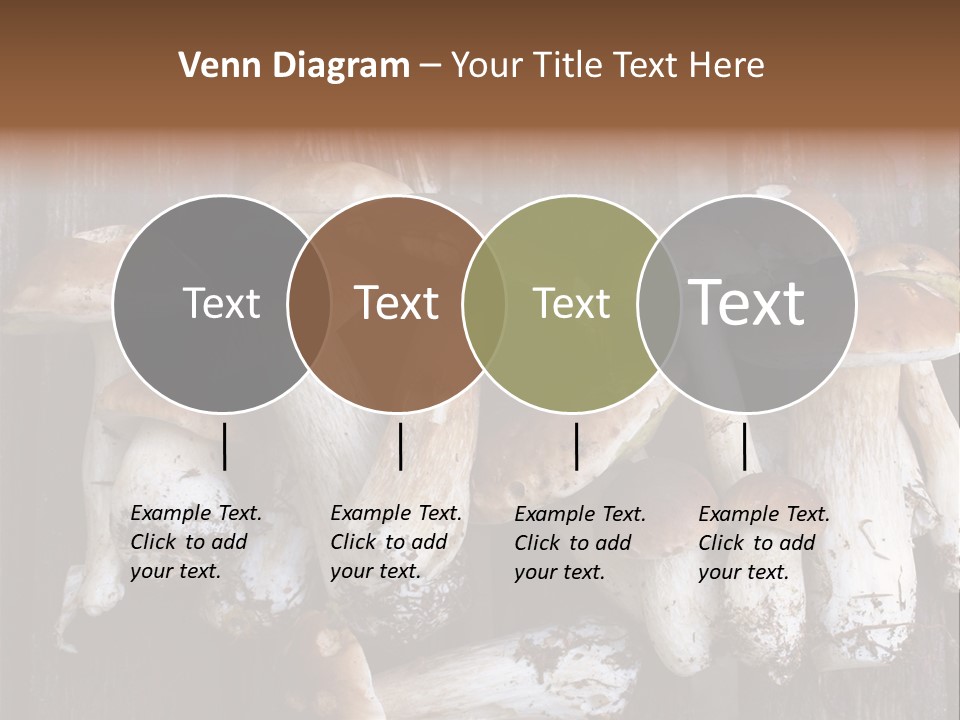Edible Background Diet PowerPoint Template