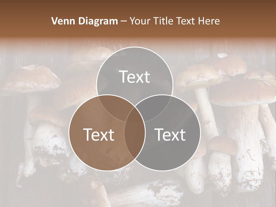 Edible Background Diet PowerPoint Template