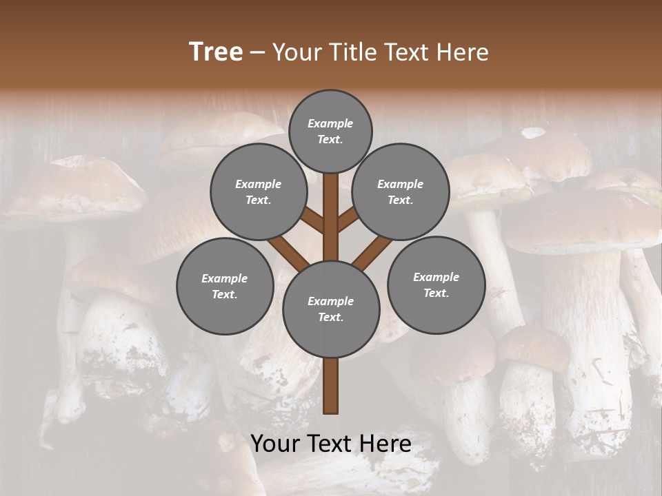 Edible Background Diet PowerPoint Template