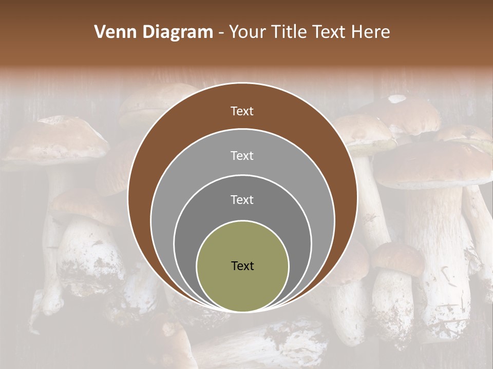 Edible Background Diet PowerPoint Template