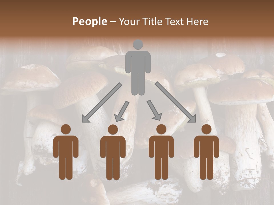 Edible Background Diet PowerPoint Template