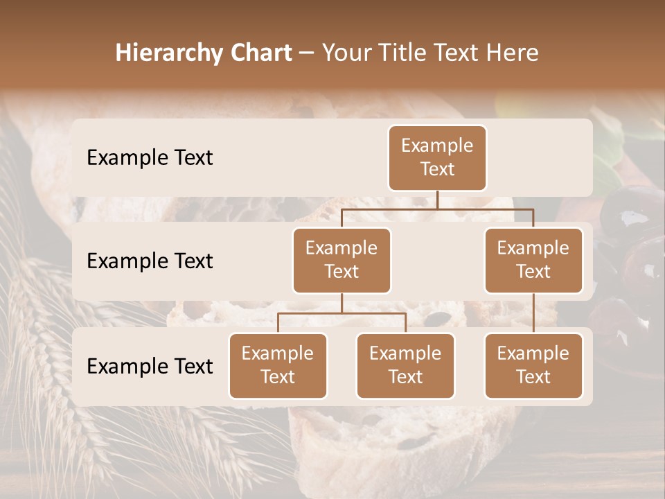 Olive Cereal Fiber PowerPoint Template
