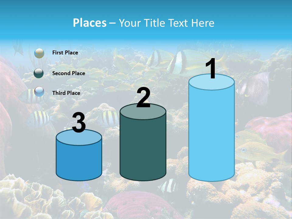 Caribbean Sea Shoal Of Fish Under Sea PowerPoint Template