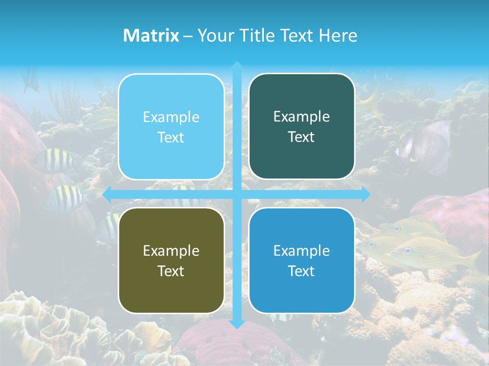 Caribbean Sea Shoal Of Fish Under Sea PowerPoint Template