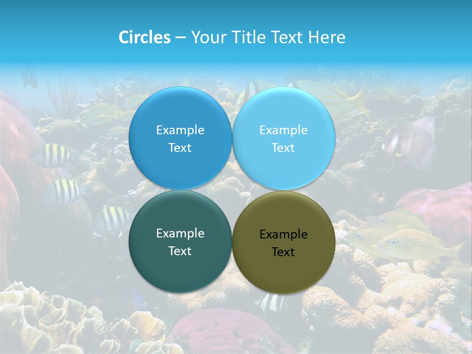 Caribbean Sea Shoal Of Fish Under Sea PowerPoint Template