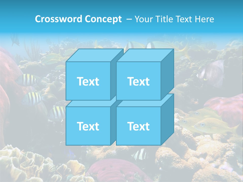 Caribbean Sea Shoal Of Fish Under Sea PowerPoint Template