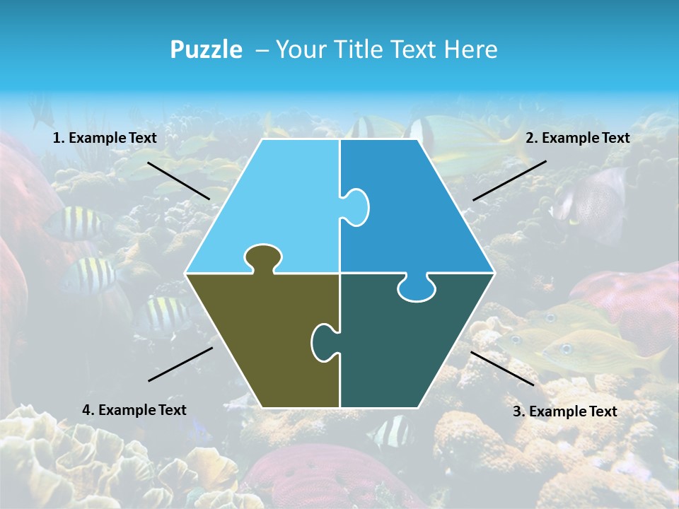 Caribbean Sea Shoal Of Fish Under Sea PowerPoint Template