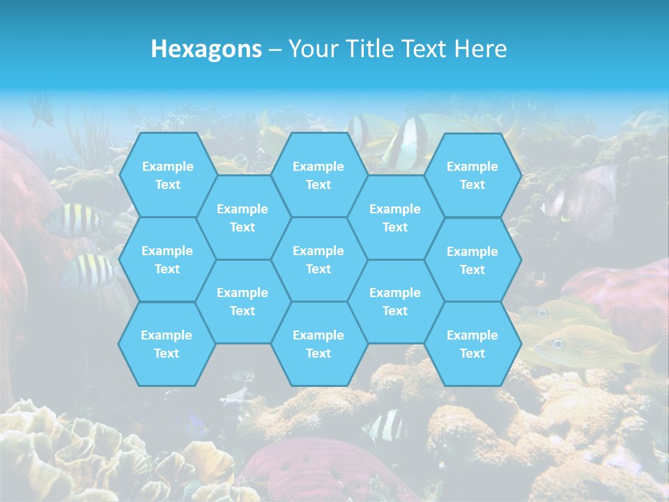 Caribbean Sea Shoal Of Fish Under Sea PowerPoint Template