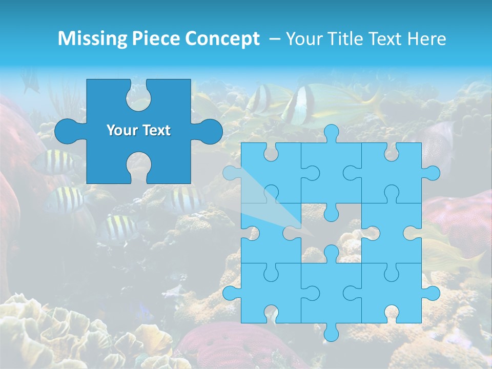 Caribbean Sea Shoal Of Fish Under Sea PowerPoint Template