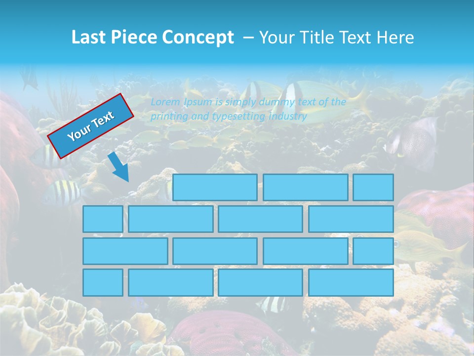 Caribbean Sea Shoal Of Fish Under Sea PowerPoint Template