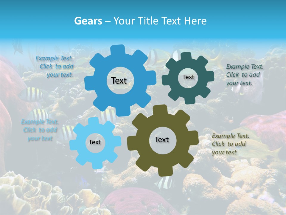 Caribbean Sea Shoal Of Fish Under Sea PowerPoint Template