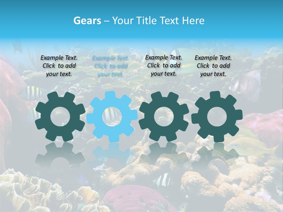 Caribbean Sea Shoal Of Fish Under Sea PowerPoint Template