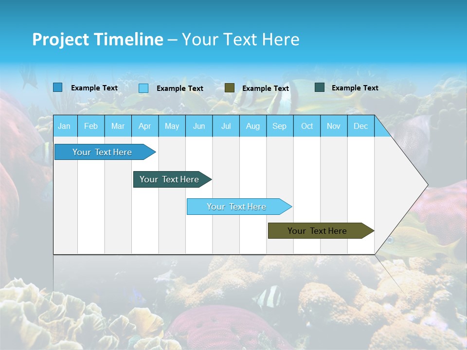 Caribbean Sea Shoal Of Fish Under Sea PowerPoint Template