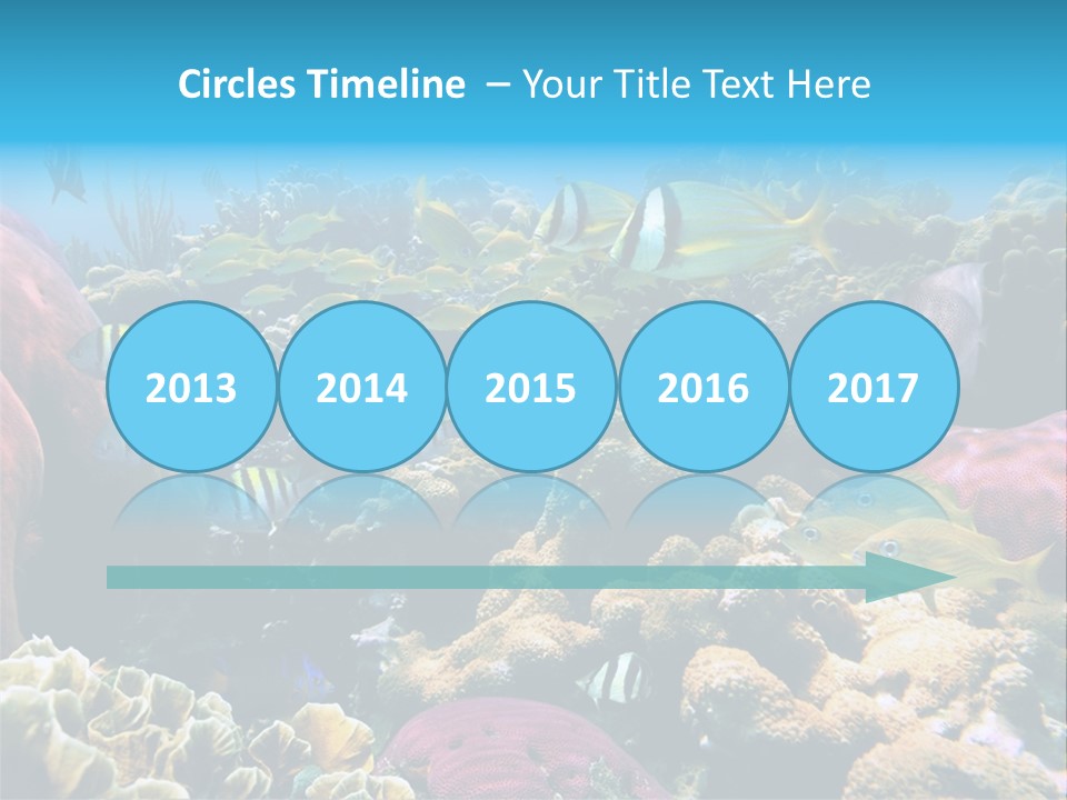 Caribbean Sea Shoal Of Fish Under Sea PowerPoint Template