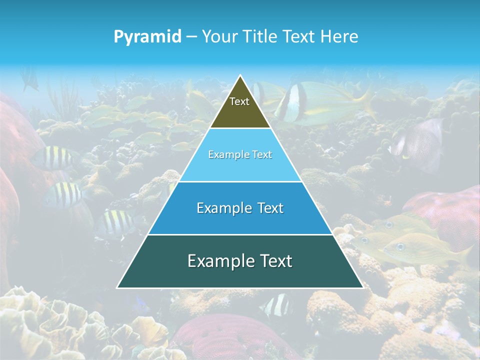 Caribbean Sea Shoal Of Fish Under Sea PowerPoint Template