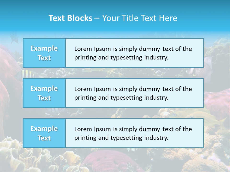 Caribbean Sea Shoal Of Fish Under Sea PowerPoint Template