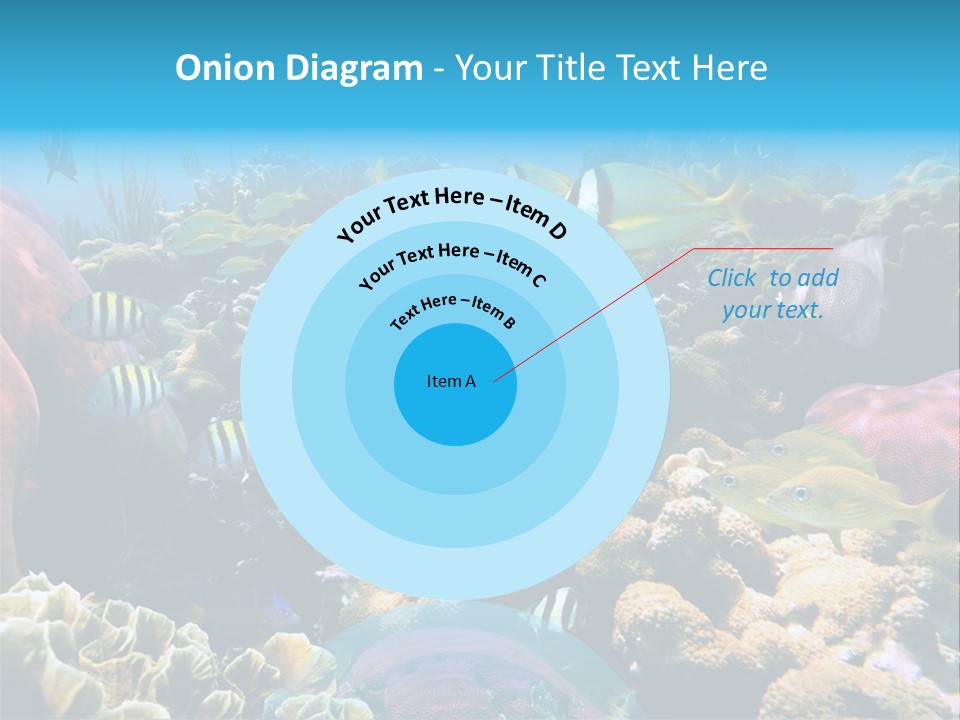 Caribbean Sea Shoal Of Fish Under Sea PowerPoint Template