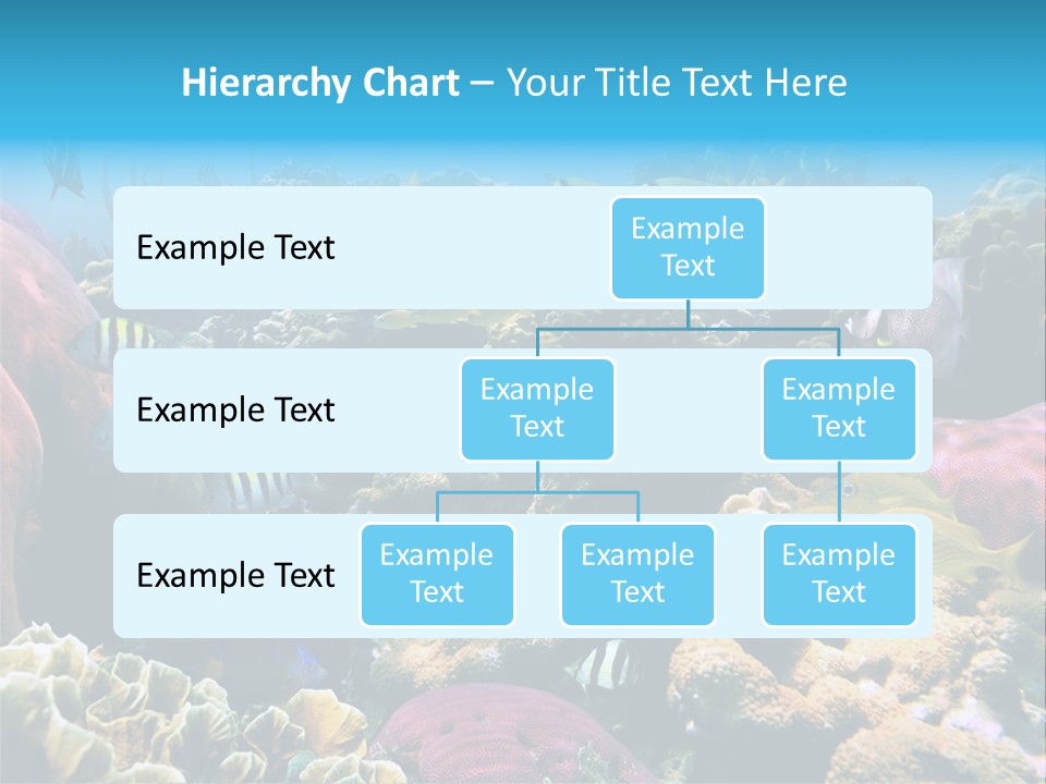 Caribbean Sea Shoal Of Fish Under Sea PowerPoint Template