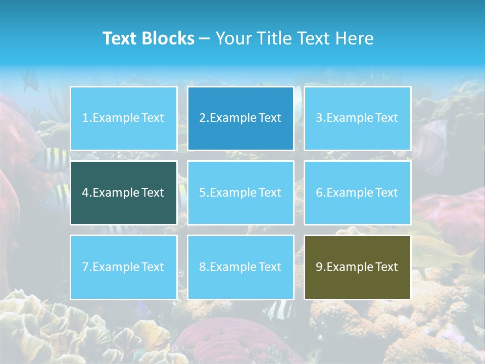 Caribbean Sea Shoal Of Fish Under Sea PowerPoint Template