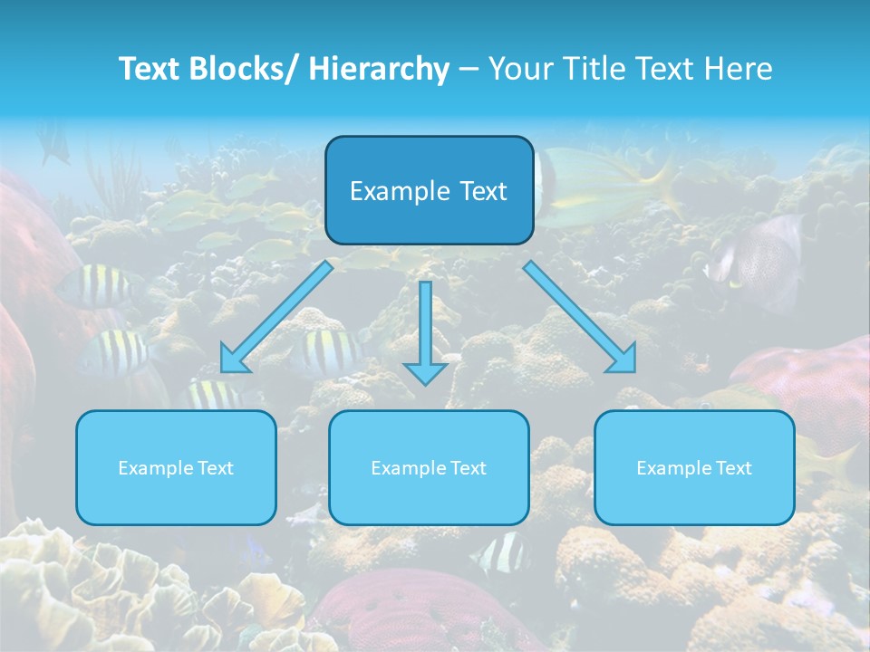 Caribbean Sea Shoal Of Fish Under Sea PowerPoint Template