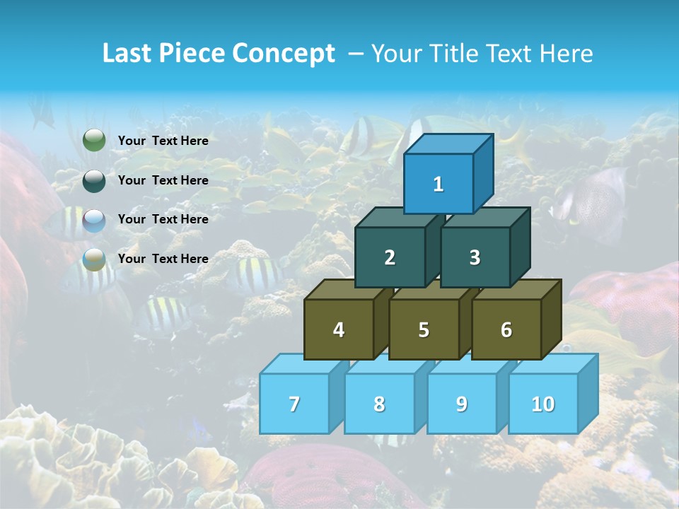 Caribbean Sea Shoal Of Fish Under Sea PowerPoint Template