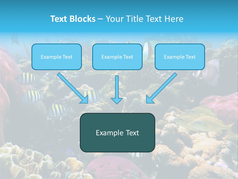 Caribbean Sea Shoal Of Fish Under Sea PowerPoint Template