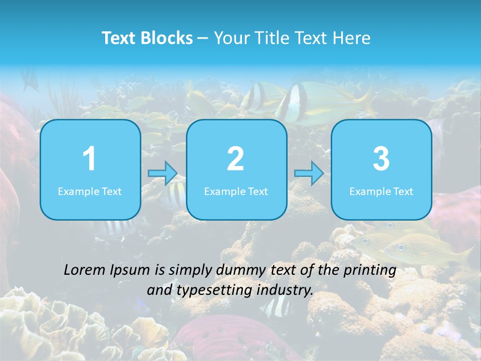 Caribbean Sea Shoal Of Fish Under Sea PowerPoint Template