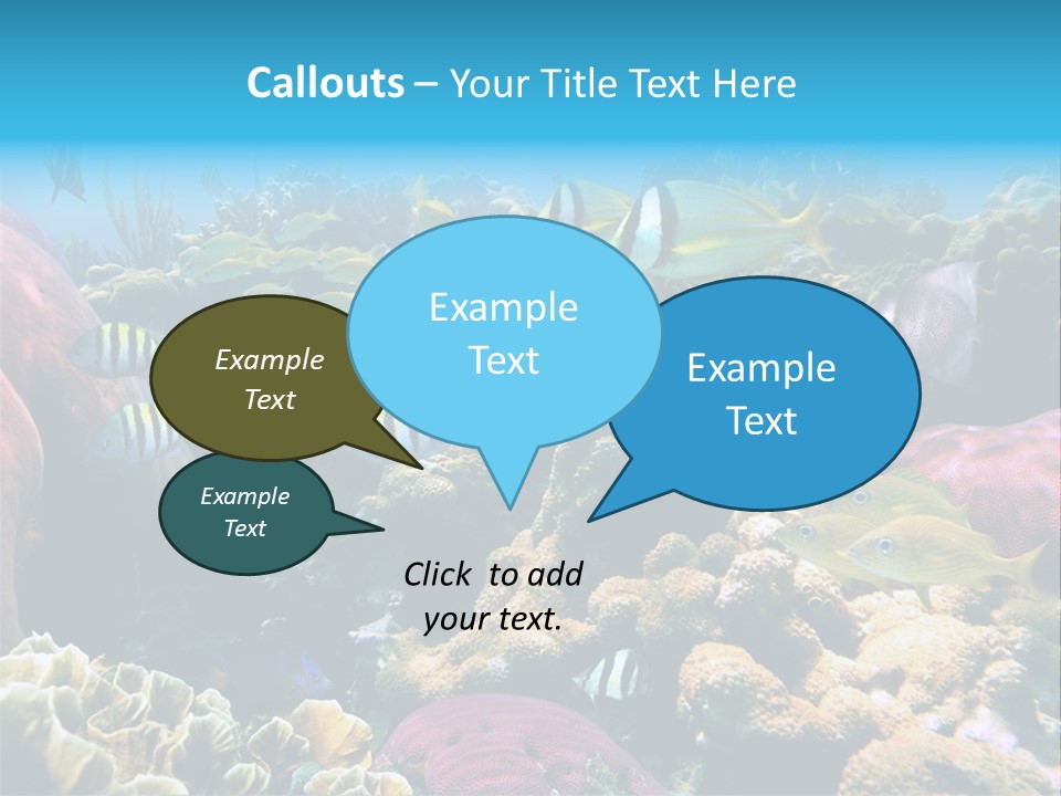 Caribbean Sea Shoal Of Fish Under Sea PowerPoint Template