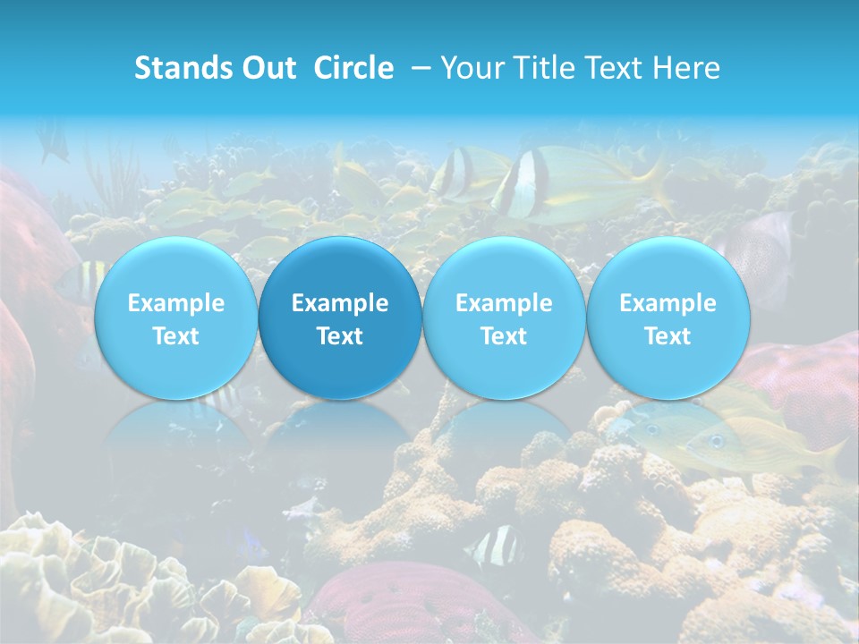 Caribbean Sea Shoal Of Fish Under Sea PowerPoint Template