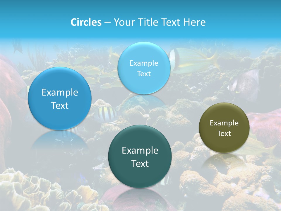 Caribbean Sea Shoal Of Fish Under Sea PowerPoint Template