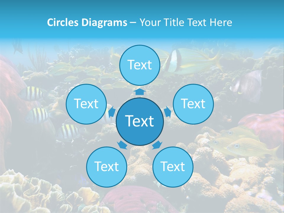 Caribbean Sea Shoal Of Fish Under Sea PowerPoint Template