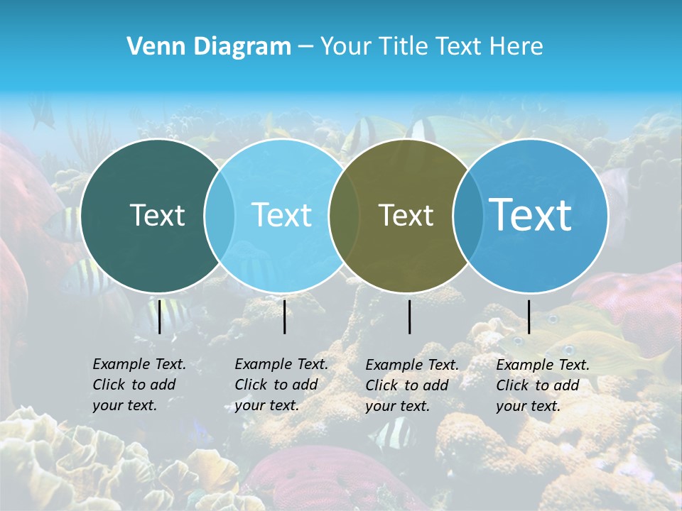 Caribbean Sea Shoal Of Fish Under Sea PowerPoint Template